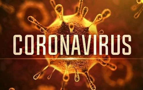 Sinh viên Khoa Luật Trường Đại học Đông Á viết tiểu luận tìm hiểu về virus Corona