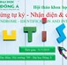 Hội thảo khoa học: "Hội chứng tự kỷ - Nhận diện và can thiệp"