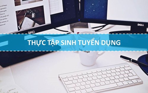 Văn phòng Thế giới di động Miền Trung cần tuyển