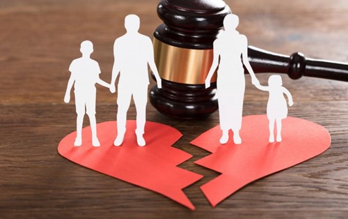 Civil Law and Family Law (part 2)