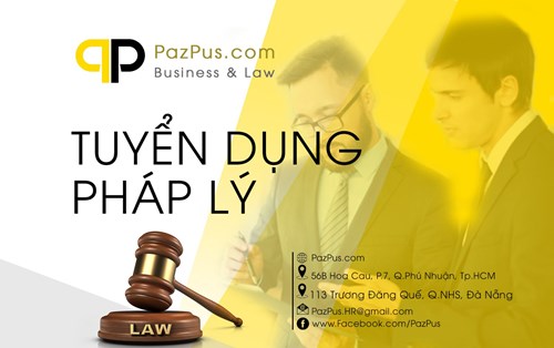 PazPus Đà Nẵng tuyển dụng thực tập sinh pháp lý